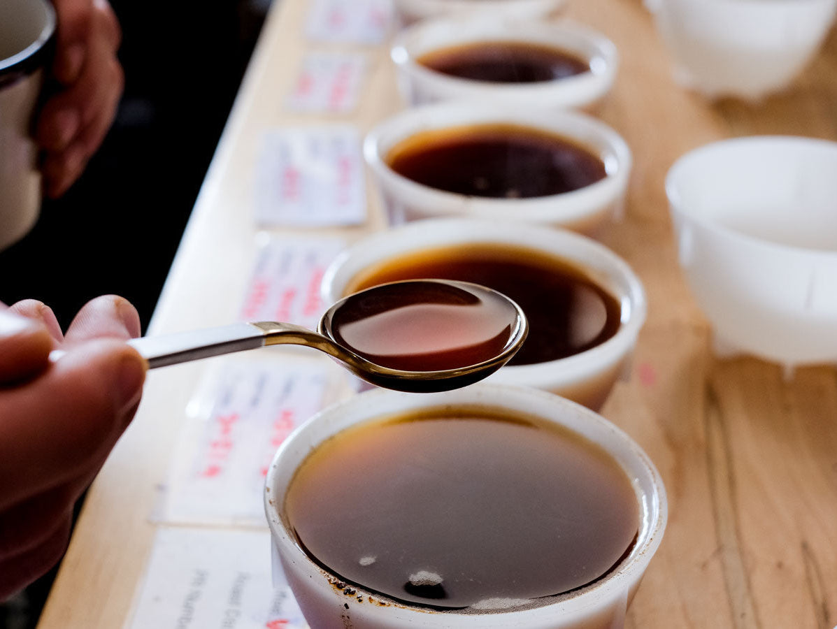 Coffee Cupping: A Step-By-Step Guide