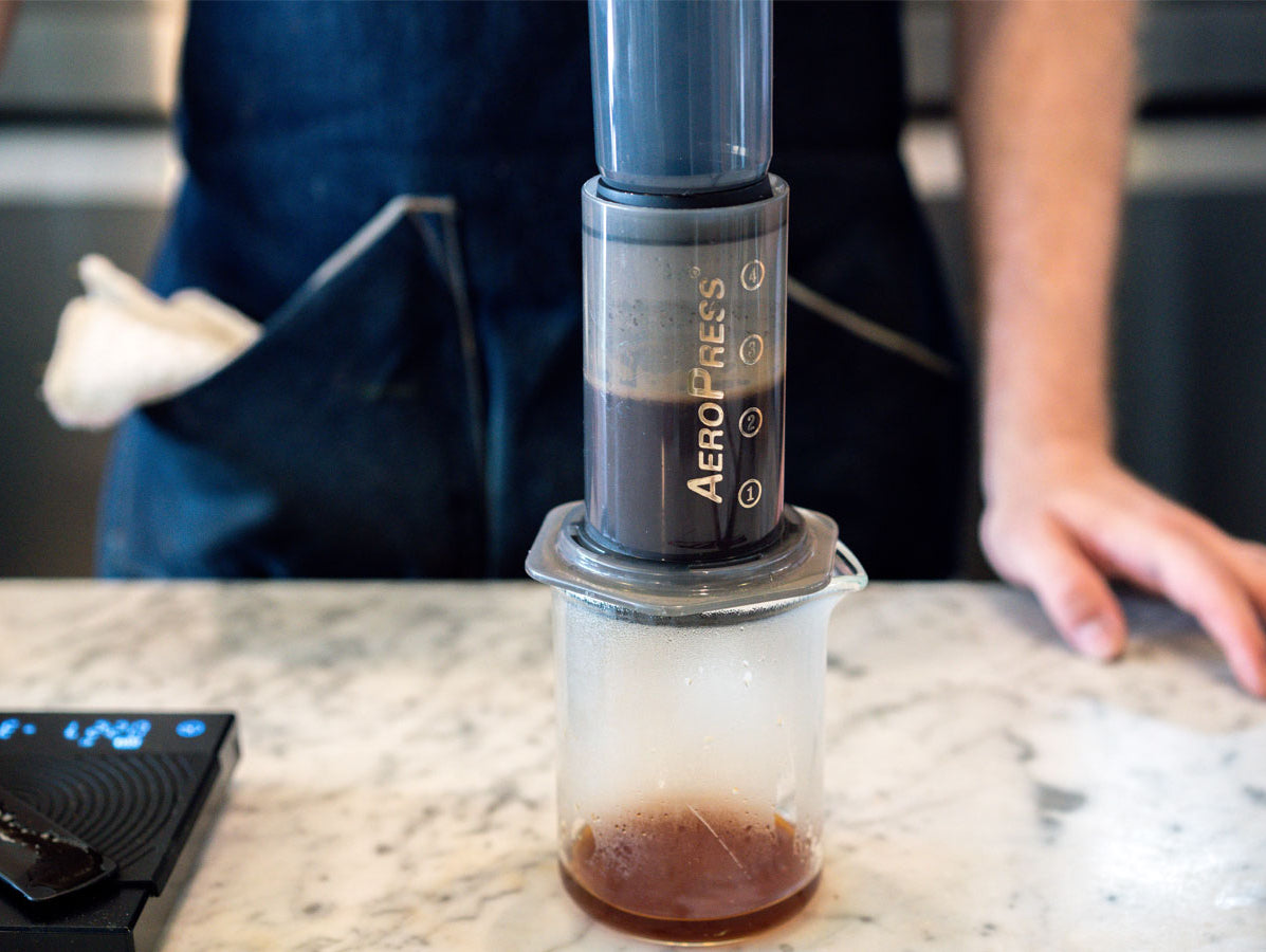 barista using AeroPress to make coffee