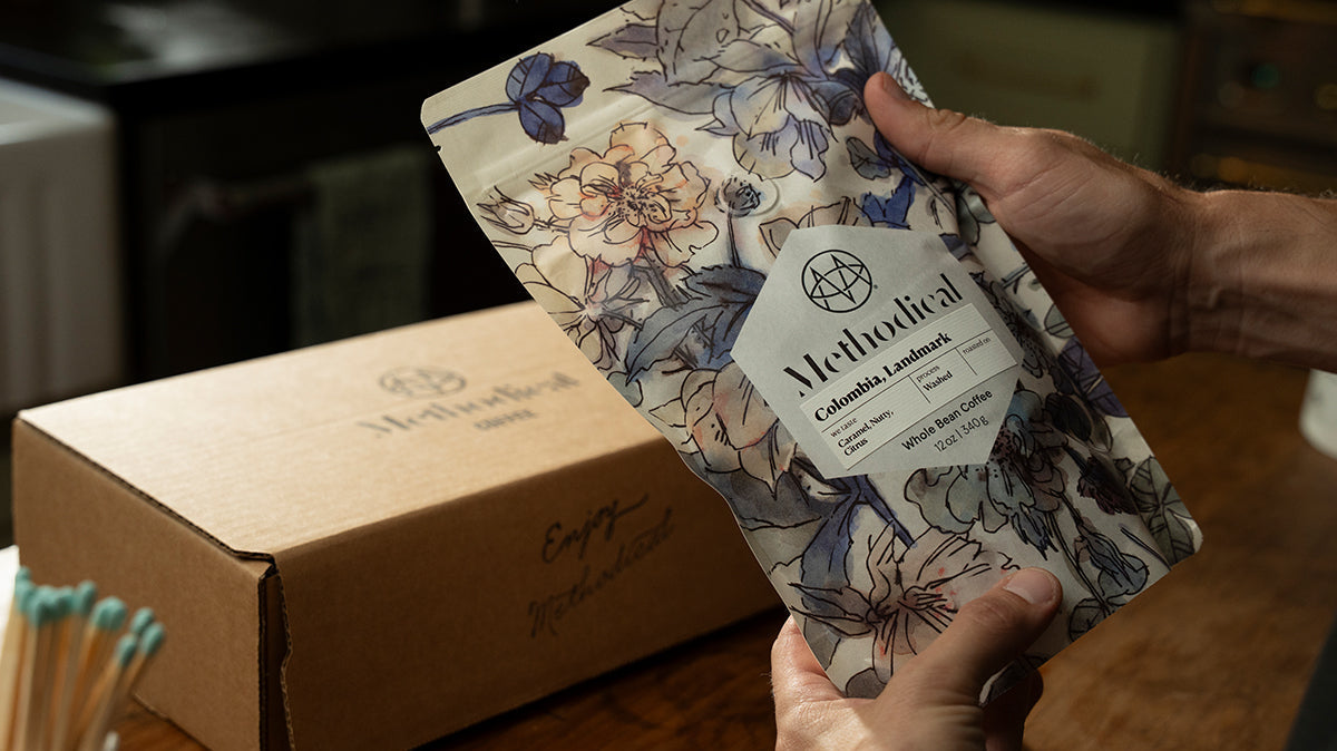 Freshly Roasted Coffee, Explained: Degassing, Rest, and Flavor