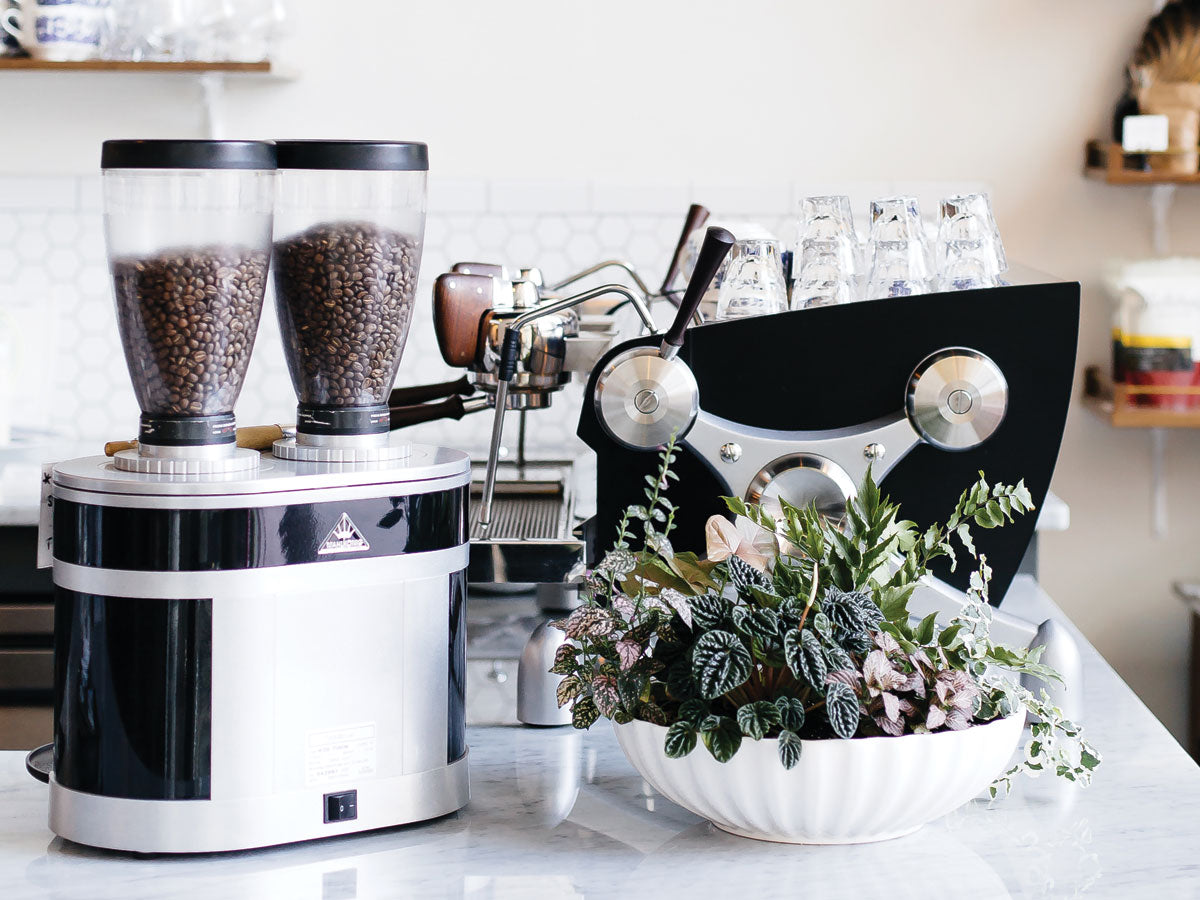 How To Pick The Perfect Electric Coffee Grinder For You - JavaPresse Coffee  Company