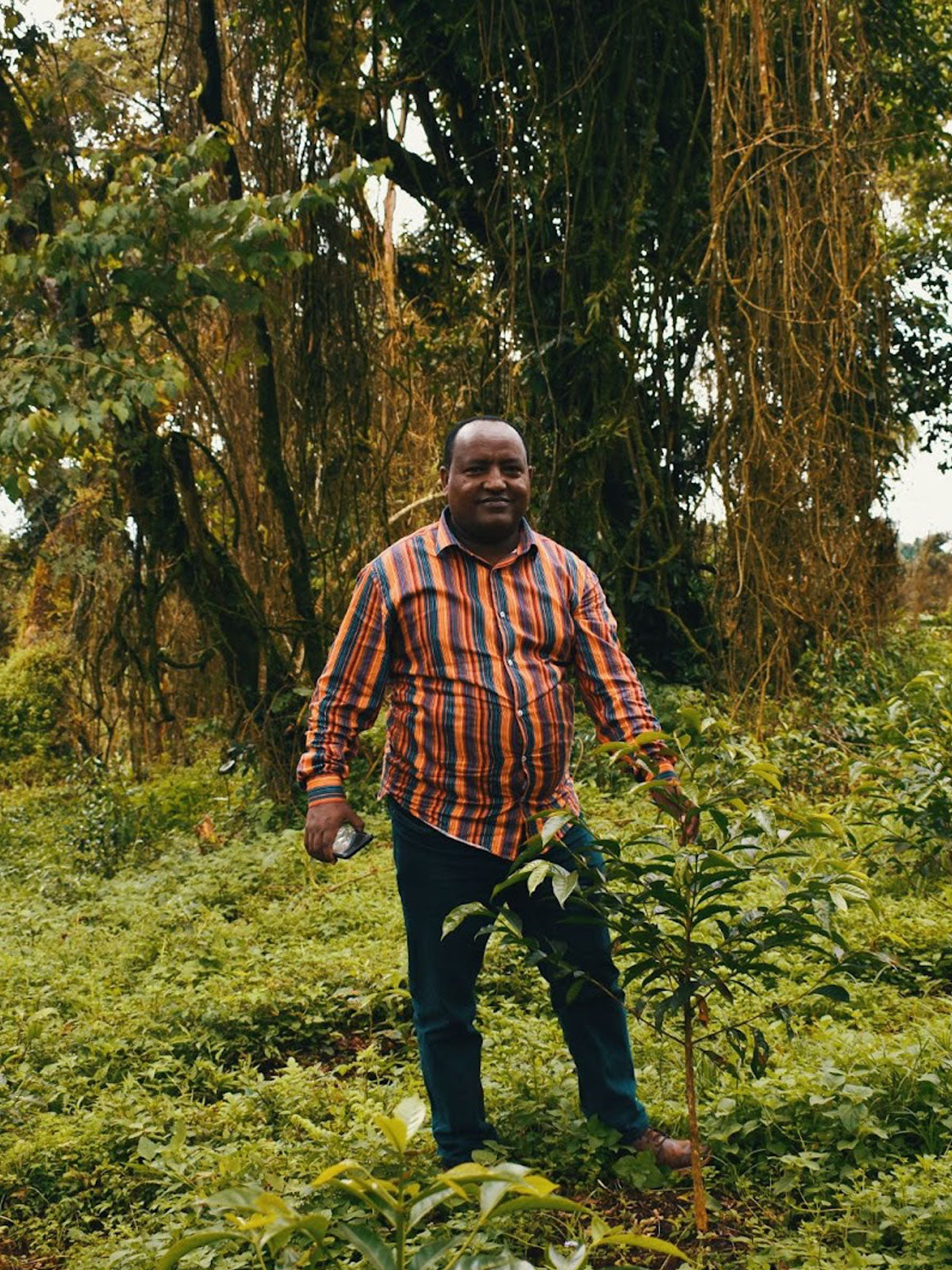 Ethiopia, Checho