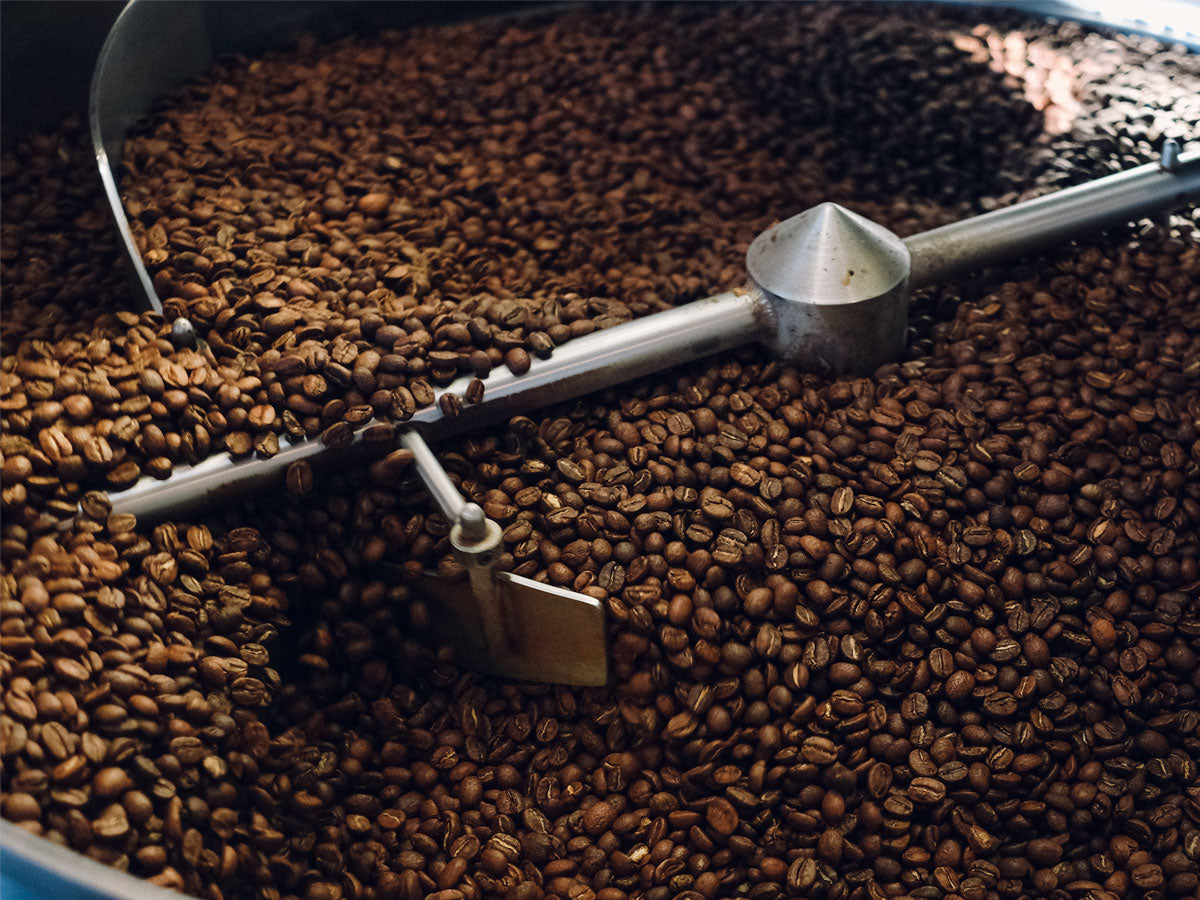 fresh coffee beans in roaster