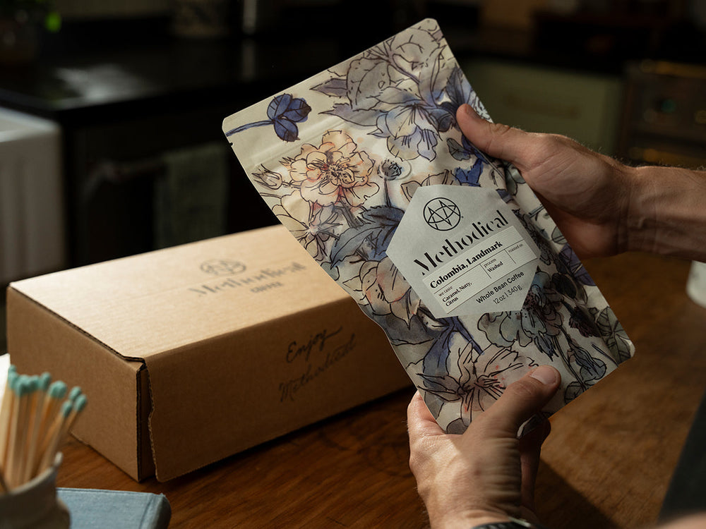 Freshly Roasted Coffee, Explained: Degassing, Rest, and Flavor