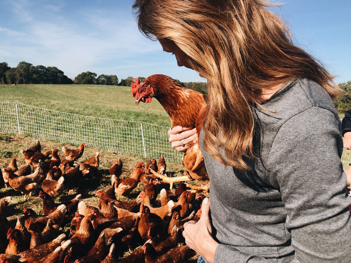 A Morning at Providence Farm