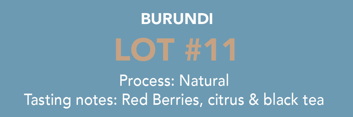 Photo of Dose - Burundi, Lot 11
