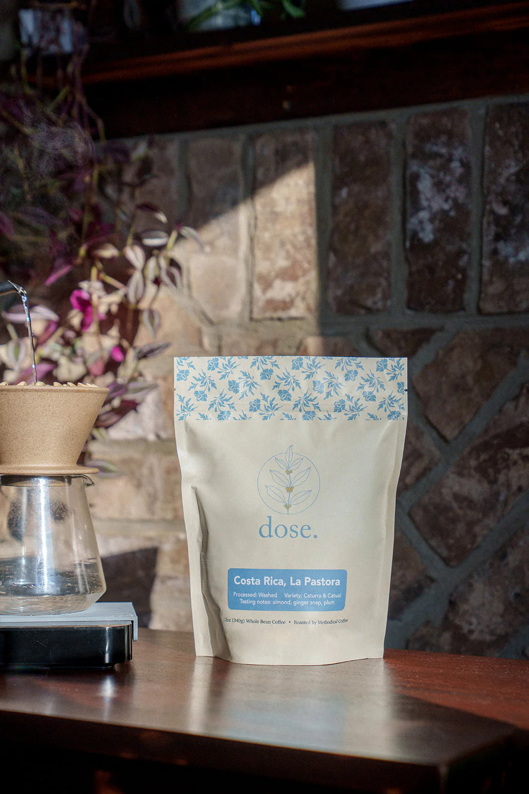 Dose - Costa Rica La Pastora