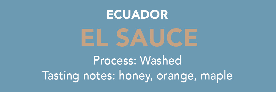 Photo of Dose - Ecuador El Sauce - 12oz