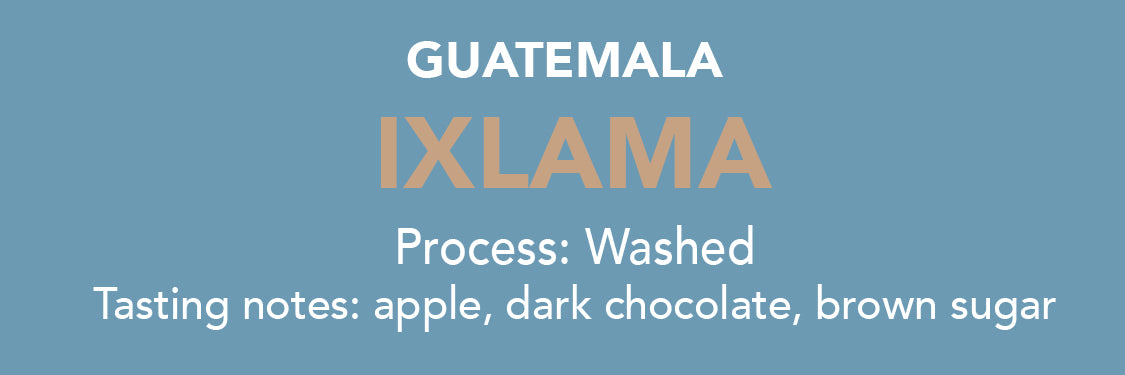 Photo of Dose - Guatemala Ixlama - 12oz