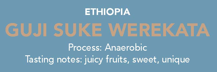 Photo of Dose - Ethiopia, Guji Suke Werekata - 12oz