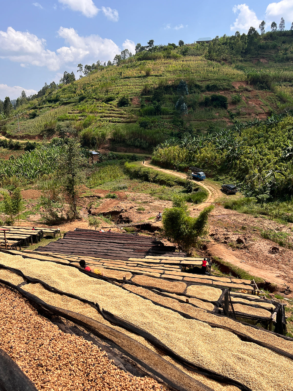 Rwanda, Muzo Ikizere