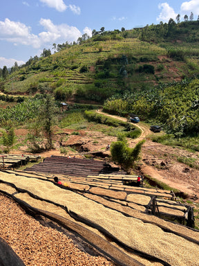 Rwanda, Muzo Ikizere