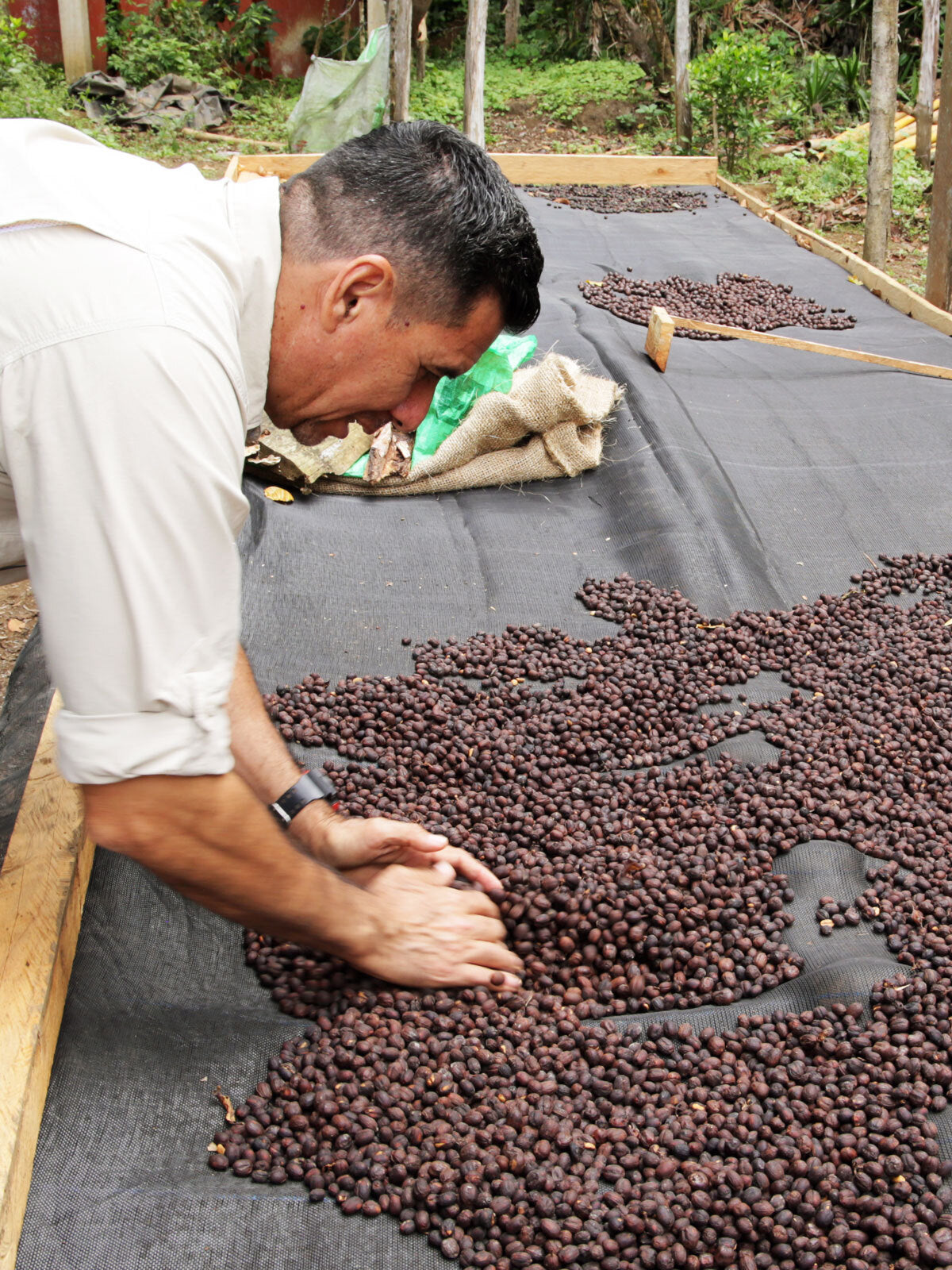 El Salvador, Gerardo Cáceres