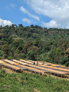 Ethiopia, Layo Teraga