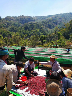 Myanmar, Naung Sam Phu