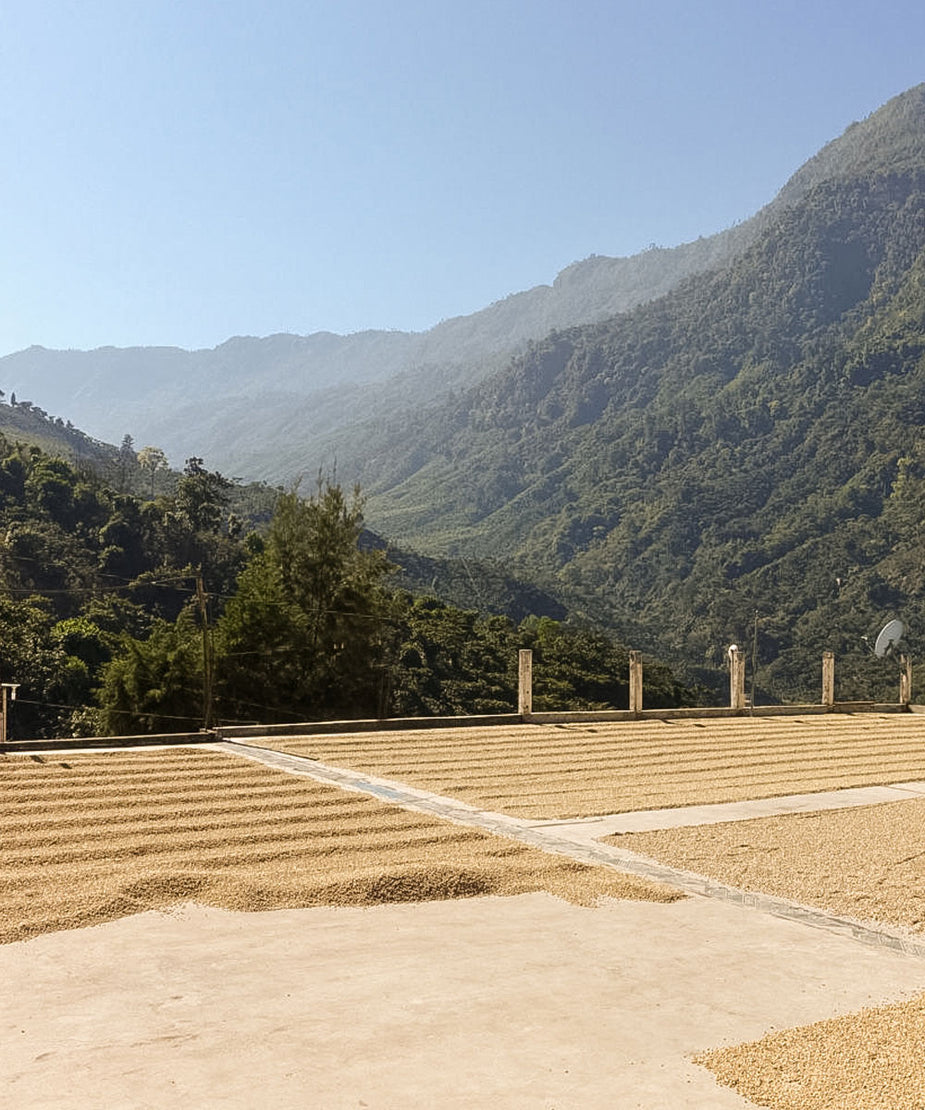 Unwind Decaf – Methodical Coffee