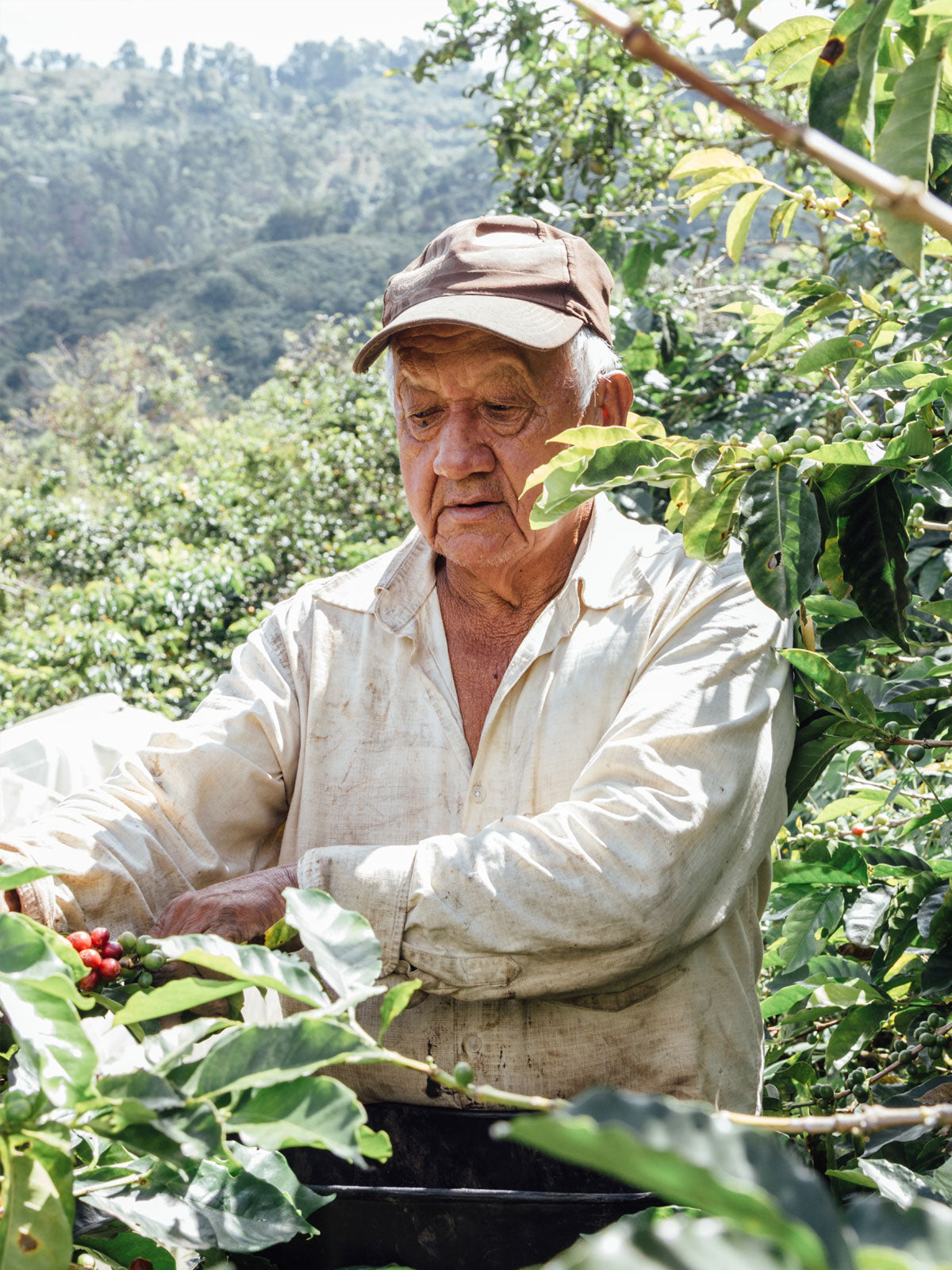 Colombia, Jaime Lopez